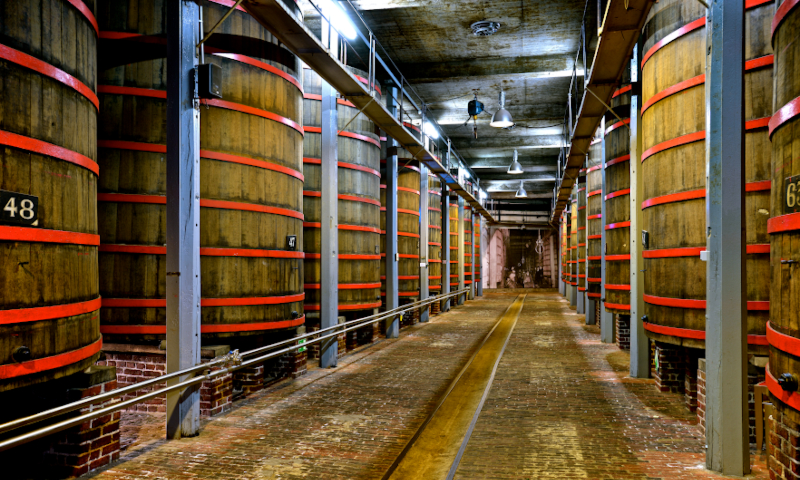 Rodenbach Foederzaal